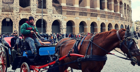 Veículos puxados por cavalos serão substituídos em Roma