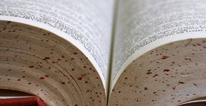 Página reúne verbetes curiosos de diferentes idiomas