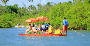 Jangadeiros de Porto de Galinhas ajudam a preservar manguezal