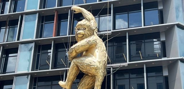 Instalação ‘Golden Monkey’