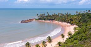 Foto: (FerreiraSilva/iStock)