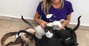 Luisa Mell fala sobre o preconceito que enfrenta por ser vegana