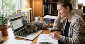 Por que os gatos ignoram a cama confortável e escolhem deitar em cima de notebooks, livros ou celular