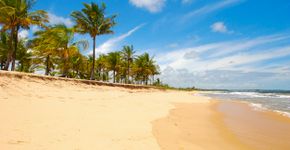 Foto: (Istock/Camila Se)
