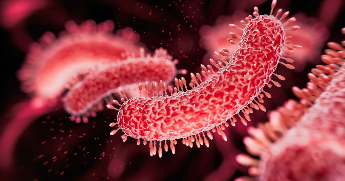 H. pylori: The Silent Bacteria Linked to Stomach and Colorectal Cancer