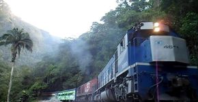 Foto: (Divulgação)