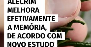 Cheiro de alecrim pode turbinar a memória, revela pesquisa recente