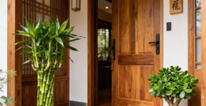 As 15 melhores plantas para atrair boa sorte em 2026, segundo o Feng Shui