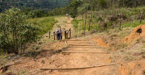 Foto: (Luiz Barrionuevo/istock)