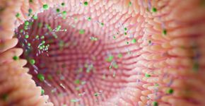 Foto: (Oleksandra Troian/istock)