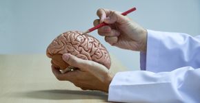 Foto: (iStock/undefined undefined)