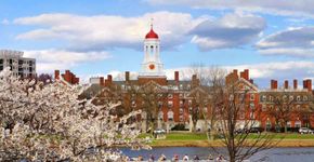 Catraca Livre vira projeto de incubadora em Harvard