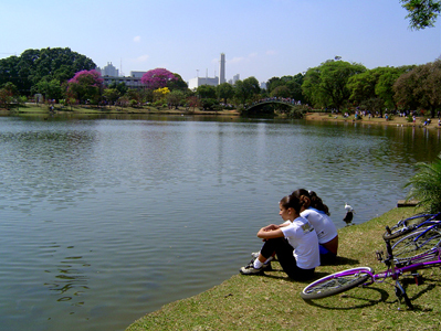 Lago do Parque Ibirapuera