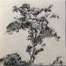 Helenita Peruzzo Helenita Peruzzo