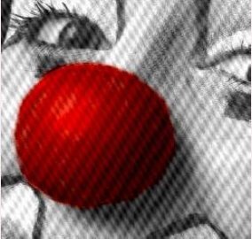 divulgação divulgação