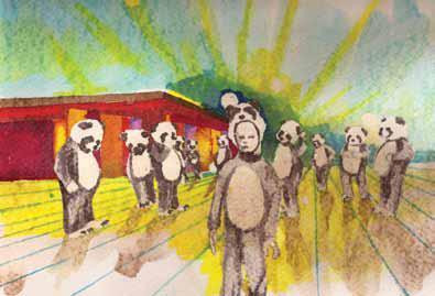 divulgação divulgação