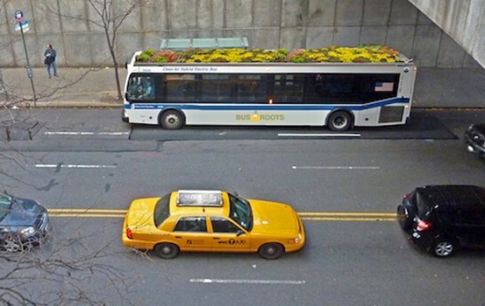 Projeto de graduação em design na Universidade de Nova York