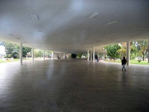 O Parque do Ibirapuera vai virar Mata Atlântica com a edição 2012 do projeto Viva a Mata