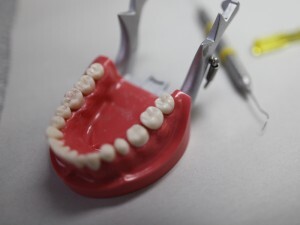 O serviço possibilita à população um tratamento que visa a reintegração estética e funcional de dentes