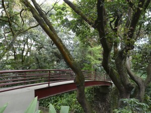 O Parque abriga a Escola Municipal de Educação Artística