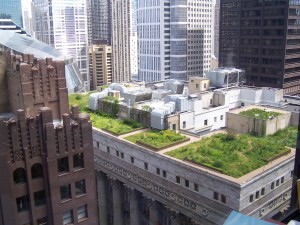 Os telhados verdes já são soluções em cidades como Londres e NY. Em São Paulo, algumas iniciativas começam a surgir.
