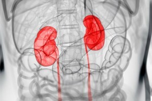 A programação foi montada em função das demandas dos pacientes