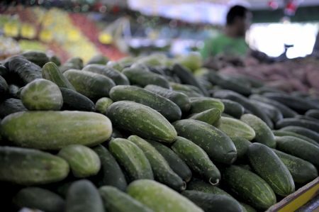 O pepino é um dos alimentos campeões em alimentos com maior número de amostras contaminadas por agrotóxicos