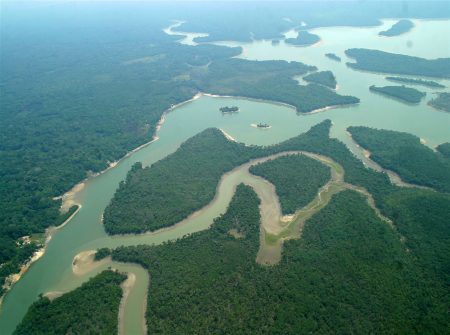 Mato Grosso foi o estado com maior área de desmatamento identificada