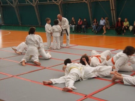 Esporte cujos principais objetivos são fortalecer o físico, a mente e o espírito de forma integrada