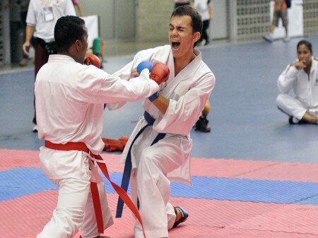 Arte marcial japonesa