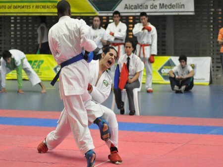 Arte marcial japonesa