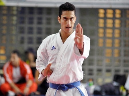 Arte marcial japonesa