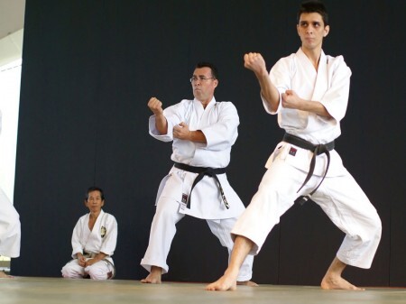 Arte marcial japonesa