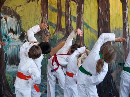 Arte marcial japonesa