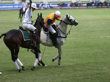 Esporte no qual quatro jogadores por equipe estão montados em cavalos