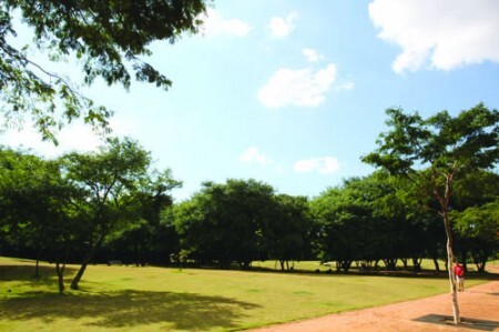 O Parque da Juventude fica na Av. Gen. Ataliba Leonel, 500, em Santana