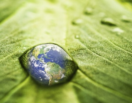 Eventos educativos do Sesc fazem alusão ao Dia Mundial do Meio Ambiente, comemorado em 5 de junho