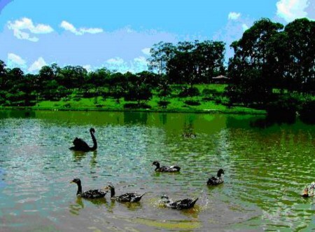 Atividade acontece em frente ao lago do parque