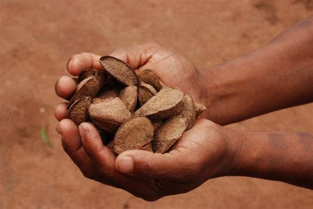 Objetivo do projeto é garantir a reflexão e a valorização de modelos alternativos de gestão ambiental na região amazônica.