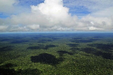 A ação faz parte do programa de regularização fundiária Terra Legal, que visa proteger a mata nativa da região amazônica do avanço desregulado da agroindústria.