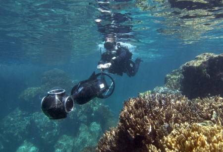 Projeto usa câmeras de alta definição para divulgar a importância da preservação dos recifes de corais