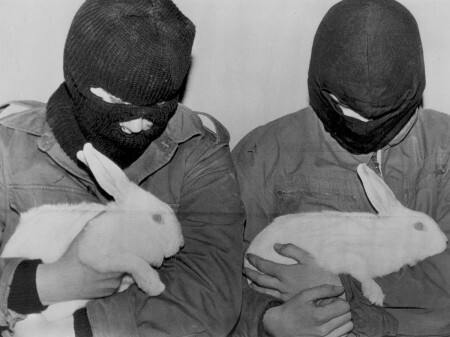 Evento terá uma série de atividades voltada à causa animal. Na foto, grupo Animal Liberation Front, conhecido por usar a ação direta para salvar animais em indústrias e fazendas