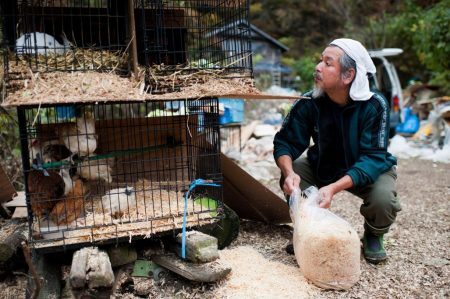 Keigo Sakamoto cuida dos animais que resgatou desde 2011. Já são mais de 500.