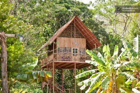 Literalmente no meio da natureza, essa acomodação ainda possui a opção de piscinas de água quente