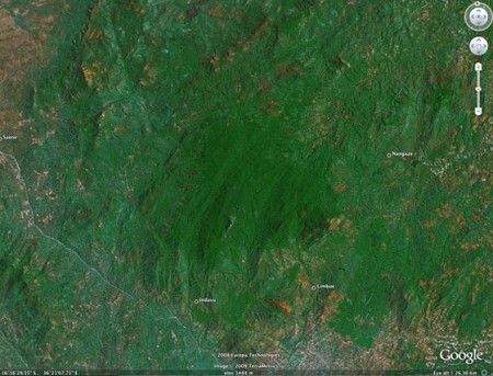 A floresta ficou isolada por fatores geográficos e políticos