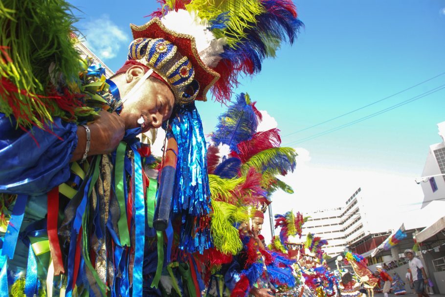 Bois do carnaval desfilam no centro do Recife