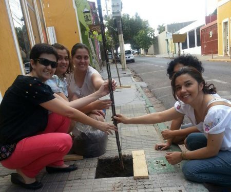 Mutirão na rua 24 de novembro