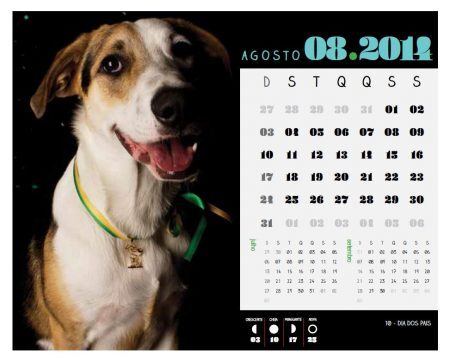 Calendário tem fotos de Emy Sato. Toda verba vai ser revertida para projetos de apoio à causa animal