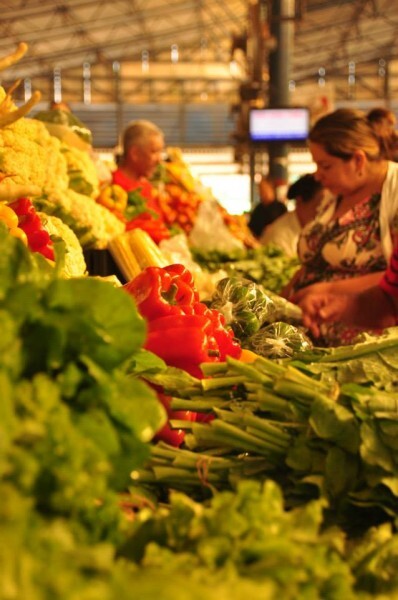 Expedições são registradas em fotos, vídeo e texto