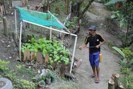 O nome é Sitiê é uma combinação de sítio com tiê, espécie de pássaro comum no local